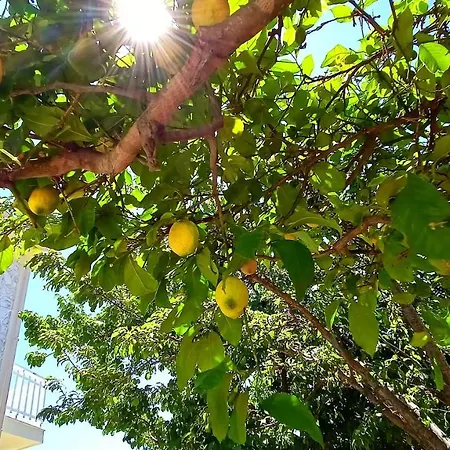 Moriana Stone Villa, Panoramic View And Garden Villa *