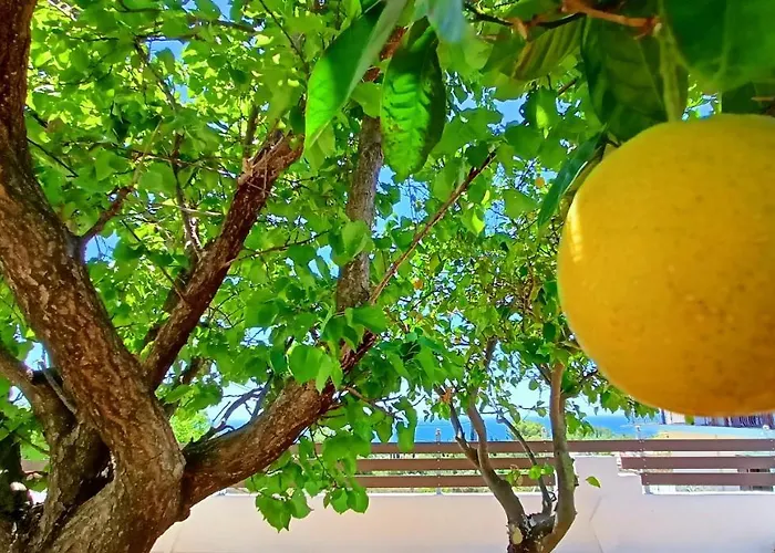 Villa Moriana Stone Villa, Panoramic View And Garden