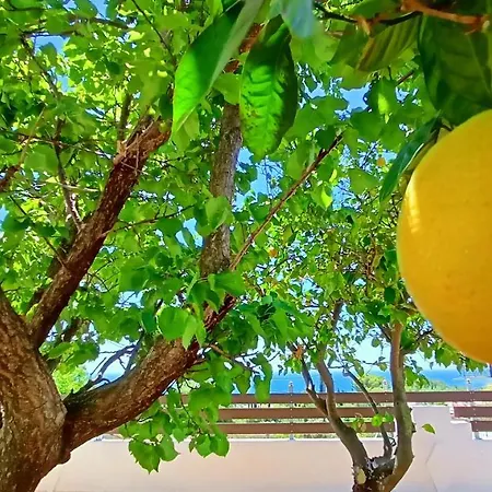 别墅 Moriana Stone Villa, Panoramic View And Garden